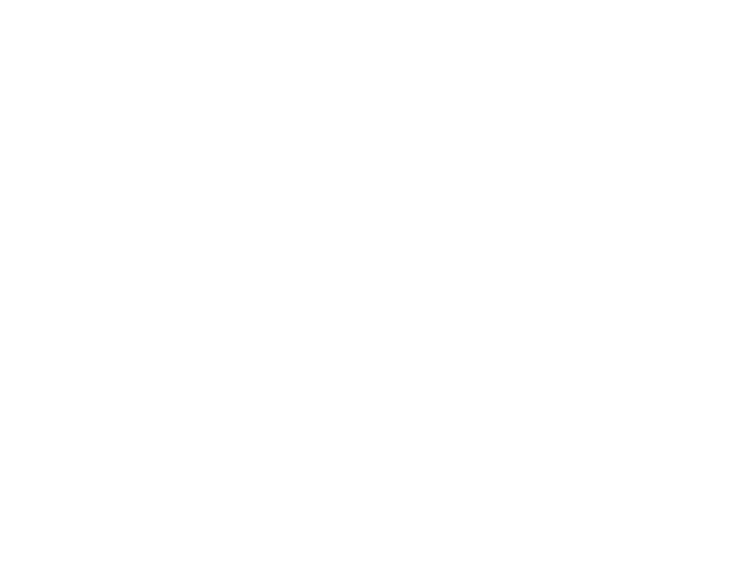 DM Industrieservice GmbH